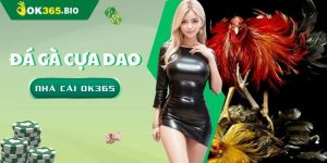 Đá gà cựa dao