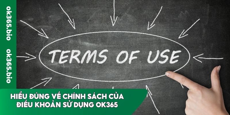 Tìm hiểu sơ qua về điều khoản sử dụng OK365