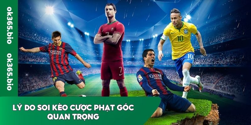 Lý do soi kèo cược phạt góc quan trọng