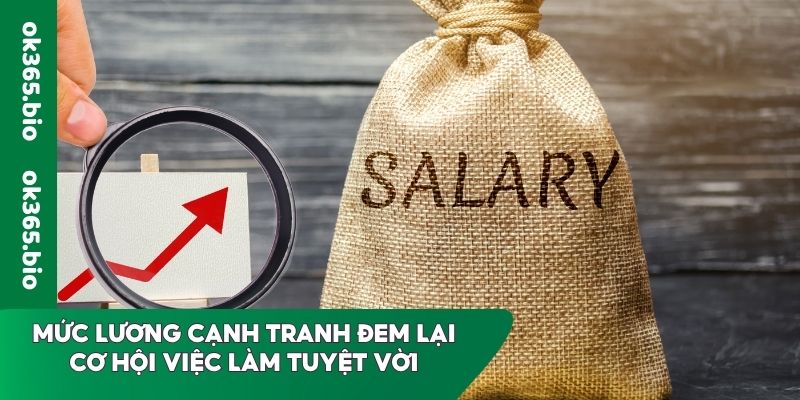 Mức lương cạnh tranh đem lại cơ hội việc làm tuyệt vời
