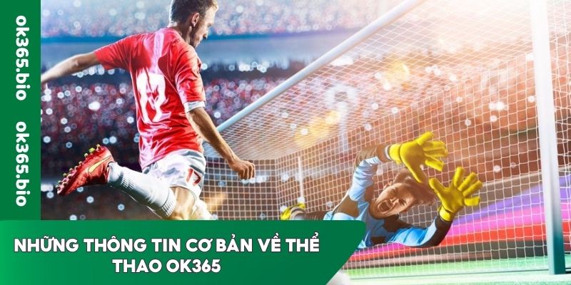 Những thông tin cơ bản về Thể thao OK365