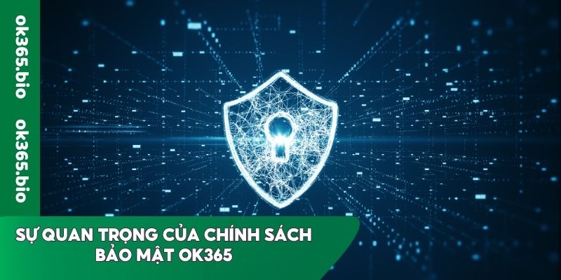 Sự quan trọng của chính sách bảo mật OK365